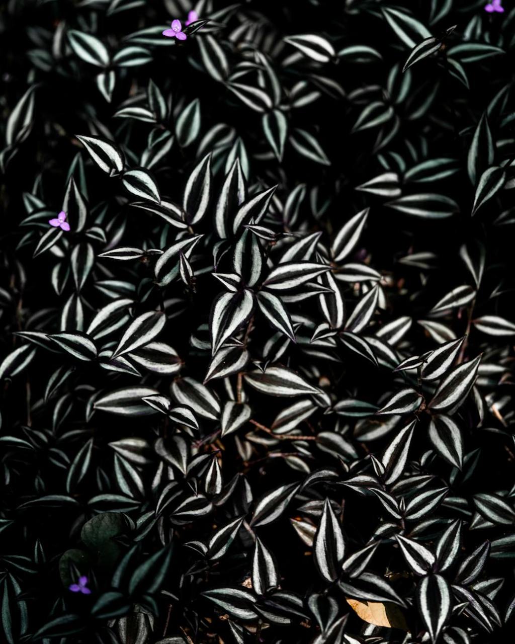 This Article Was Hijacked By My Last Faculty&nbsp;Meeting.