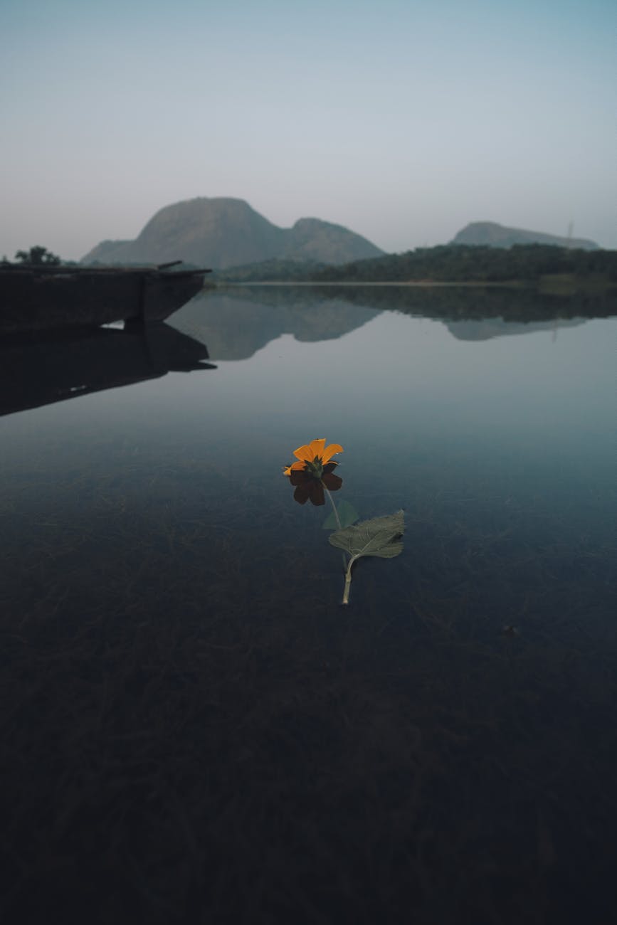 I Hate AI Until it Works for&nbsp;Me.