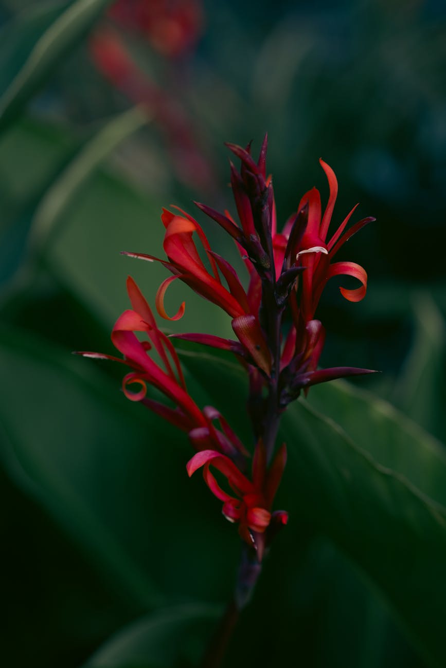 How did these matches find their way onto this&nbsp;bridge?