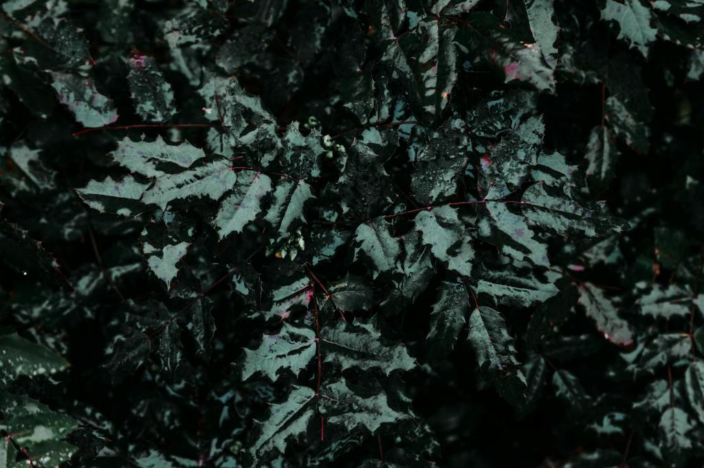 Glad I am&nbsp;Leaving