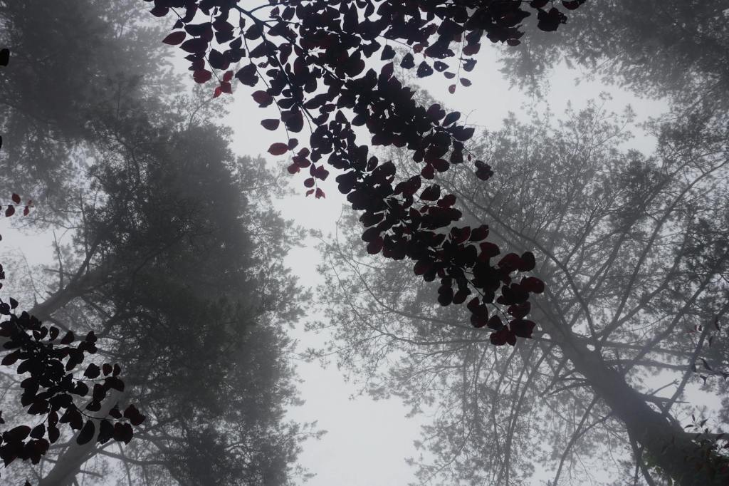 Are You a Paul&nbsp;Skenes?