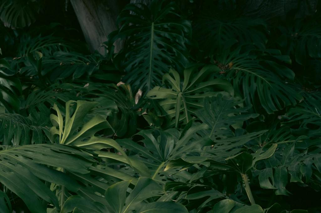 Student Expectations or My Professor’s Expect Me to Do&nbsp;What?