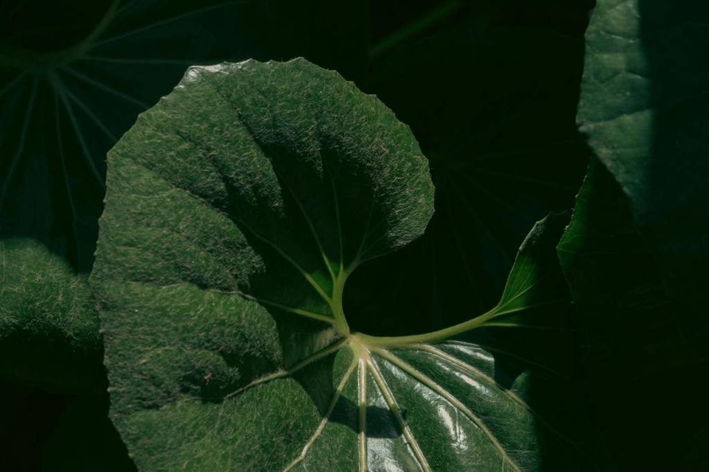 Silently Showing Me the&nbsp;Door