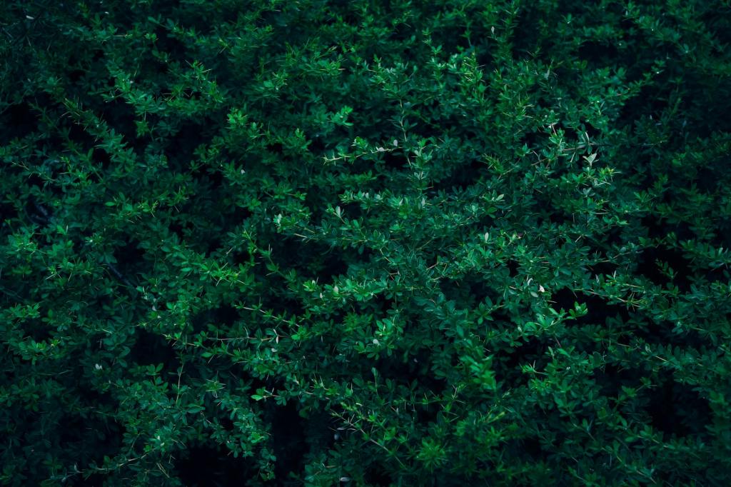 Some Backstories Aren’t Worth&nbsp;Knowing