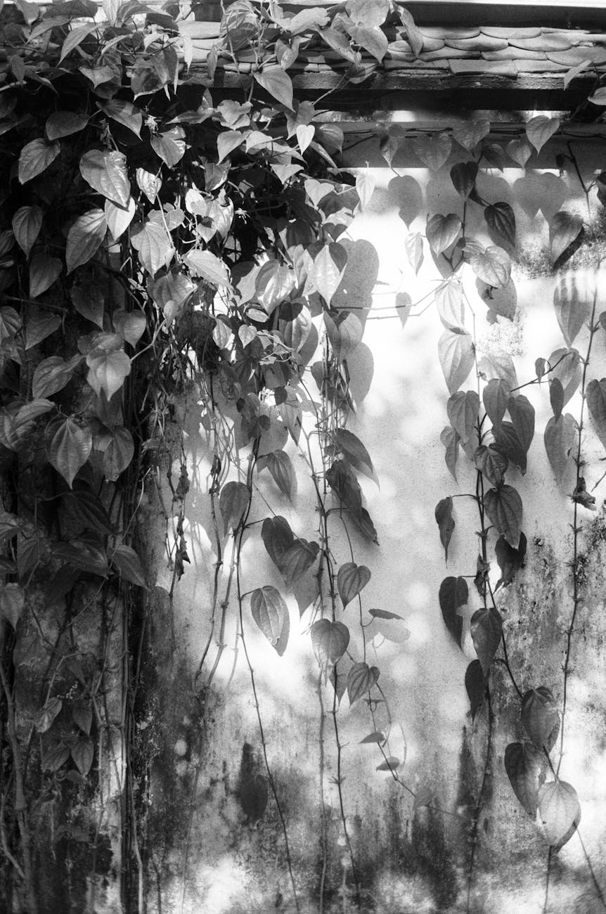 A Disorienting Orientation