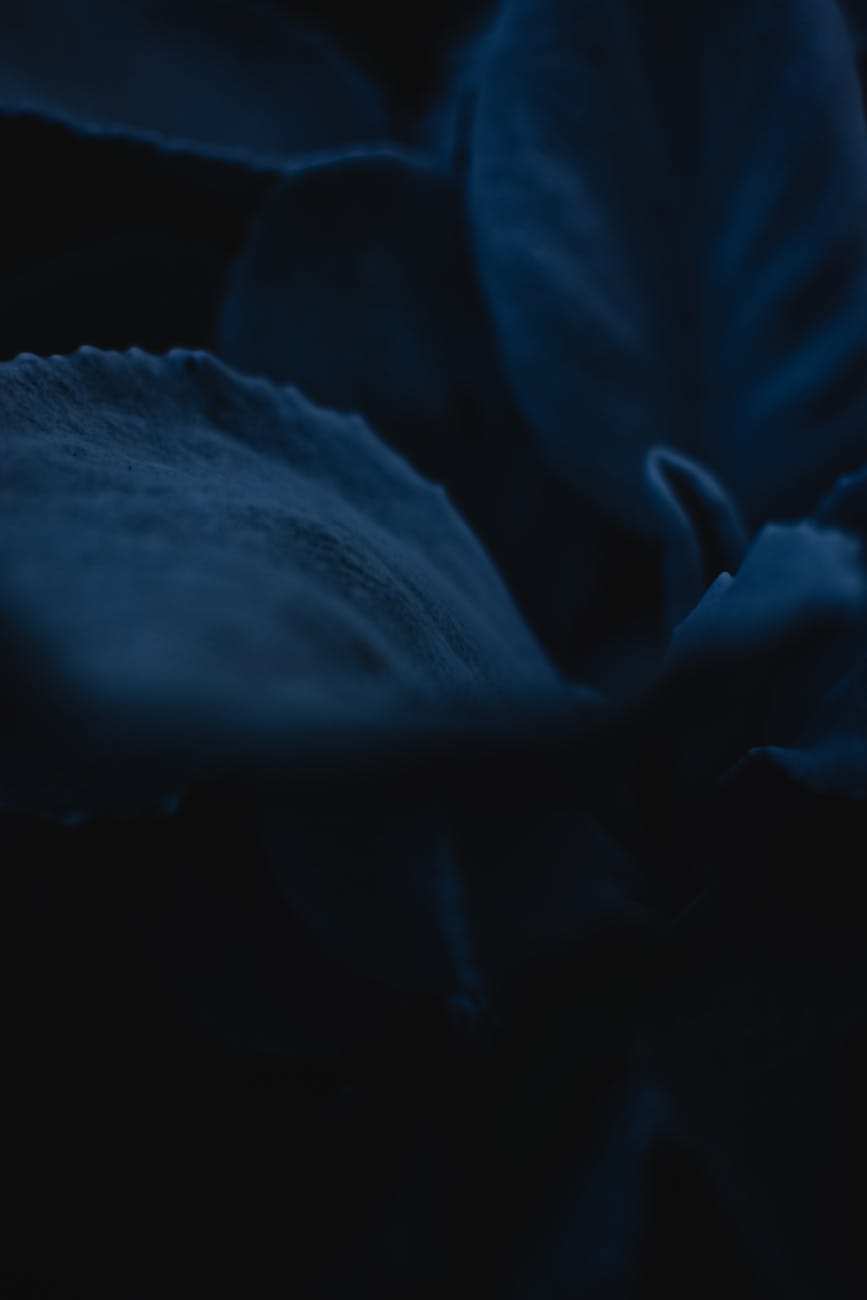 Another Realization of My&nbsp;Worth