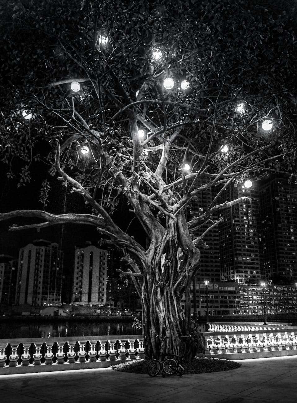 This is Starting to Feel Like&nbsp;Wonderland