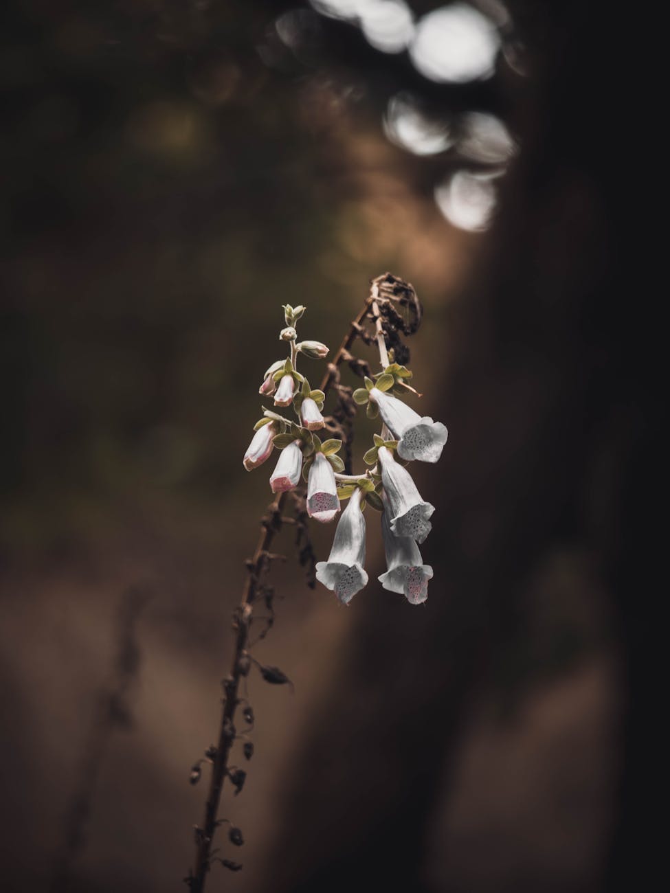 No Progression is&nbsp;Death