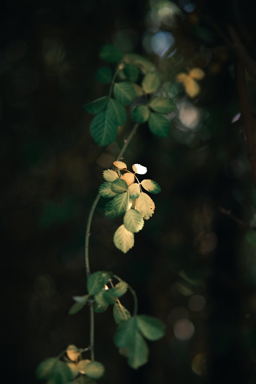 Leadership Doesn’t Know&nbsp;Everything