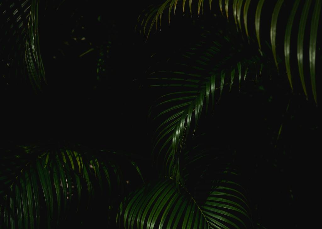 Here is a Plaque, Now Smile Like You Mean&nbsp;It