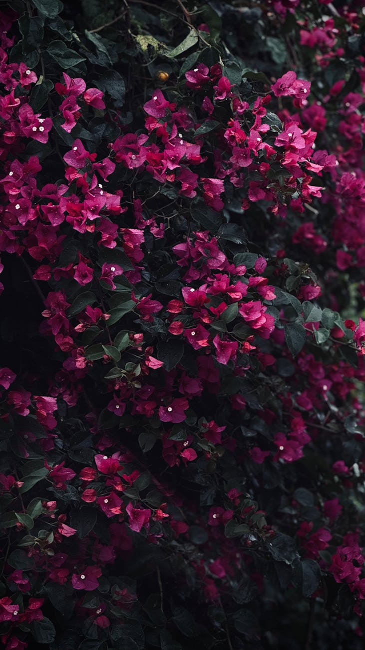 Why is everybody miserable? I am the one who lost their&nbsp;job.