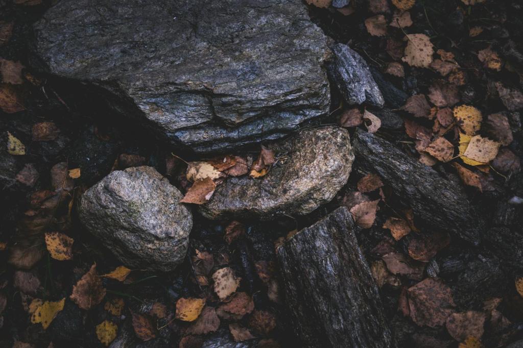 A Humorous Look at Professors and&nbsp;Teaching