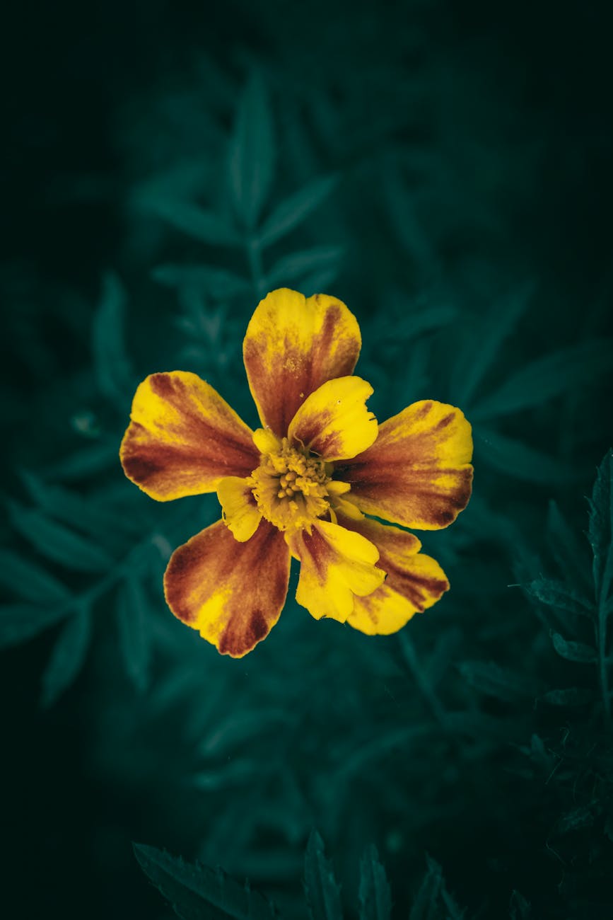 The Other New&nbsp;Hire