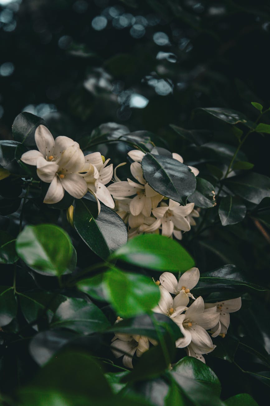 Hired to do one thing, but has to do&nbsp;another